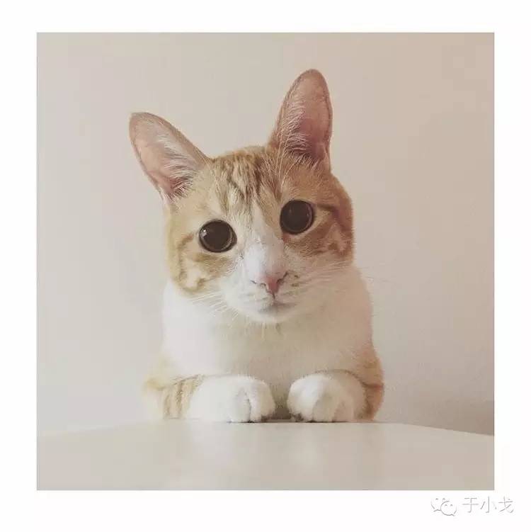 过年给公婆买什么礼物合适,过年应该给爸妈公婆买什么礼物