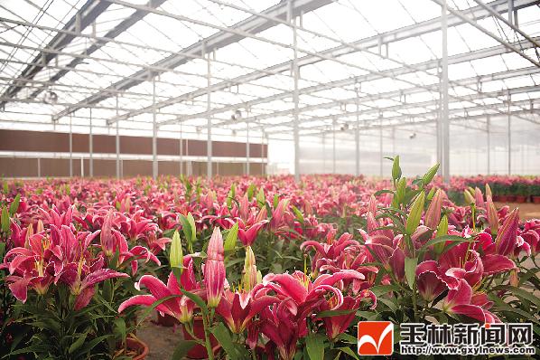 逛一逛美丽乡村,最美五彩田园