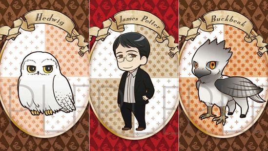 哈利波特各种版本图标,哈利波特有图案版的