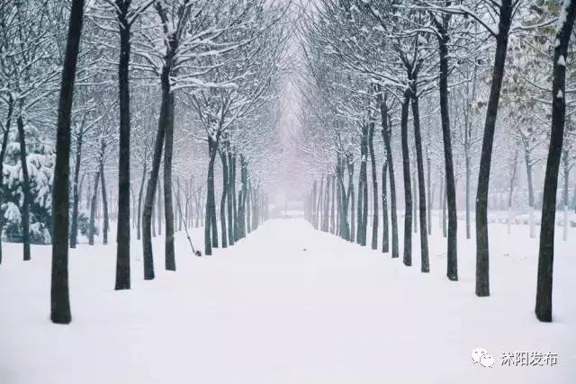沭阳是一个怎么样的城市,沭阳究竟是什么样一个城市