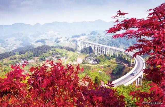 渝北哪个区发展最好,渝北人很富吗