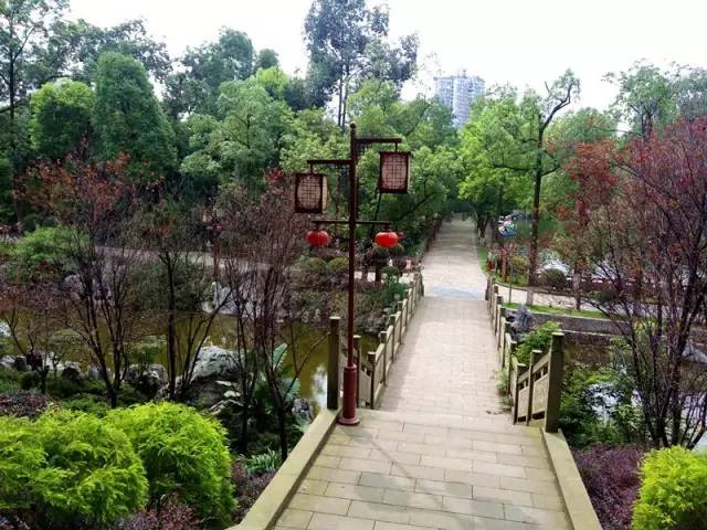 宜宾柏溪城中央健身房私教价格,宜宾最高端的健身房