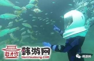 济州岛最美的海岸,济州岛最美的山峰