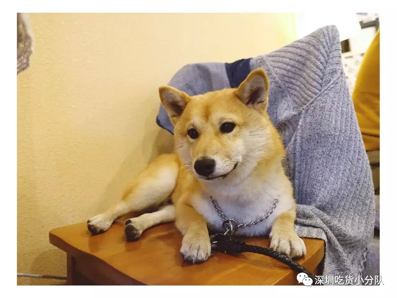 深圳能容纳100人的咖啡店,深圳有氛围感的咖啡厅