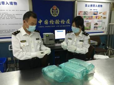 熊猫血妈妈打几针抗d免疫球蛋白,熊猫血妈妈打免疫球蛋白