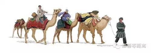 新疆鄯善骆驼,鄯善的骆驼