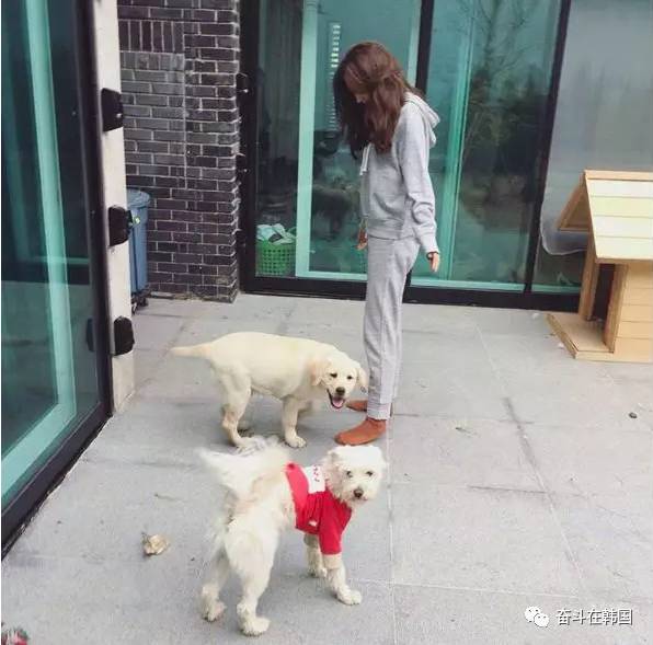 姐妹们你们买过多少羊毛大衣,姐妹们你们买过什么化妆品