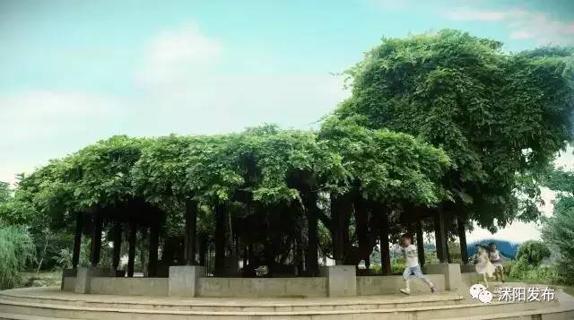 沭阳是一个怎么样的城市,沭阳究竟是什么样一个城市