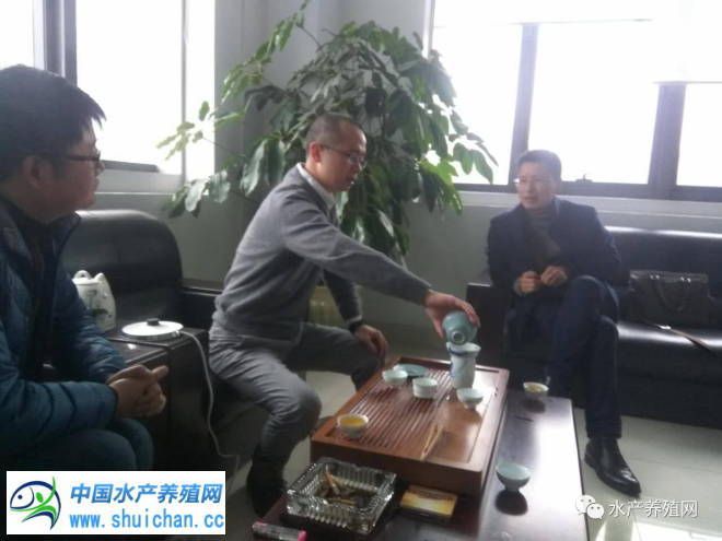 十亩鱼塘如何养出20亩的鱼,10亩鱼池养多少鱼苗