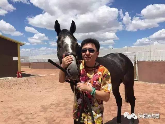 中国马业排名前十名,中国马业十大风云人物