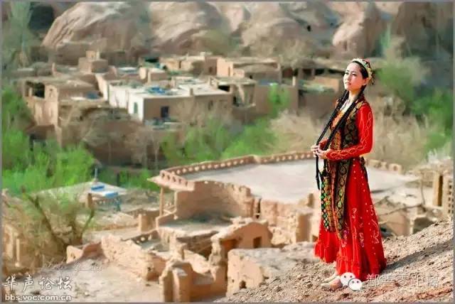 新疆鄯善骆驼,鄯善的骆驼