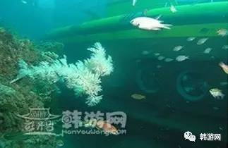 济州岛最美的海岸,济州岛最美的山峰