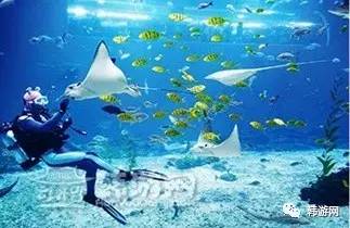 济州岛最美的海岸,济州岛最美的山峰