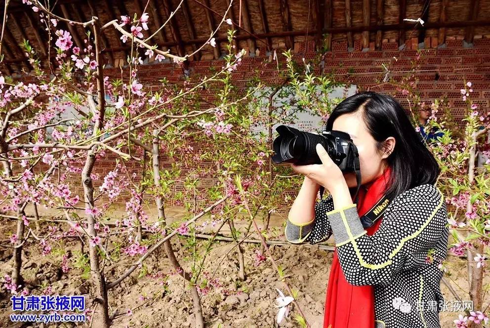 甘州大事件全集,甘州最近发生的事情