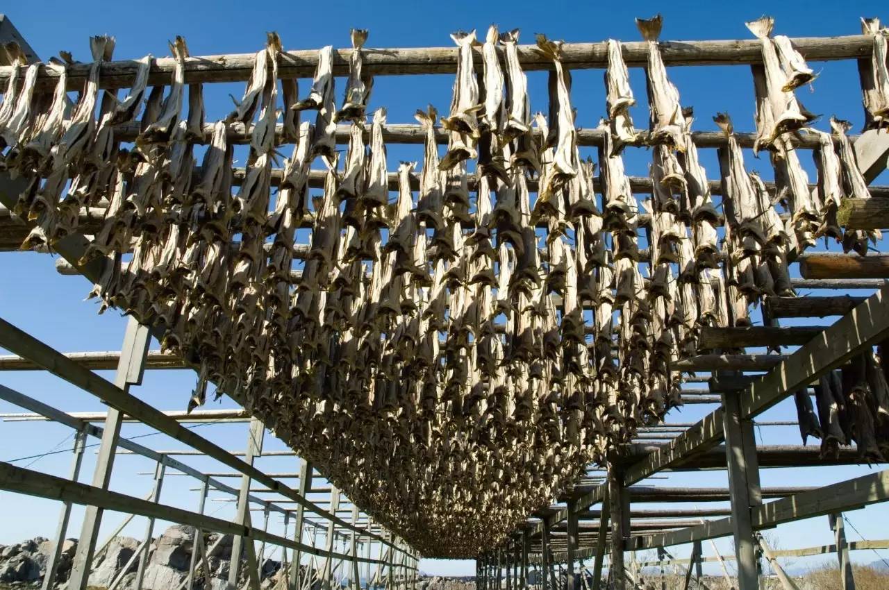 三文鱼挪威哪里好吃,见识一下挪威美食