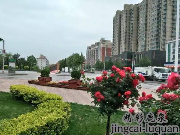 鹿泉城市总体规划2035,鹿泉未来5年规划图