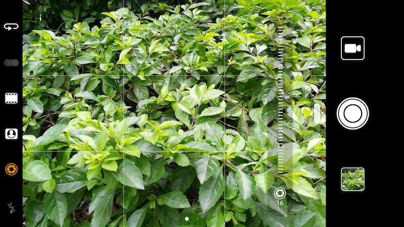 华为p10全面曝光,华为p10测评王者荣耀