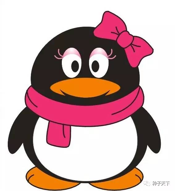 2020年黑龙江引种备案公告,黑龙江引种品种2019大全