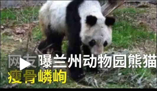 旅游大巴一定要拿纸质票吗,旅游客车新政策