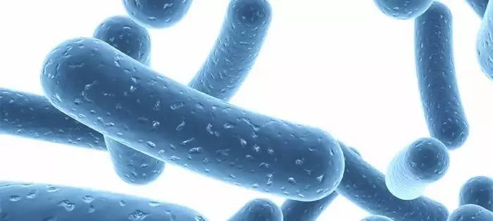 国内最好的益生菌品牌排名,益生菌畅销榜第一名婴幼儿益生菌