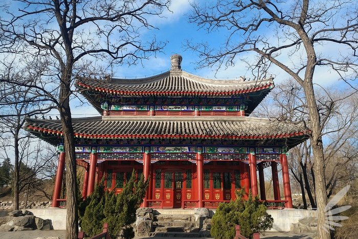 百诺便携相机三脚架评测,百诺三脚架if19对比mc19