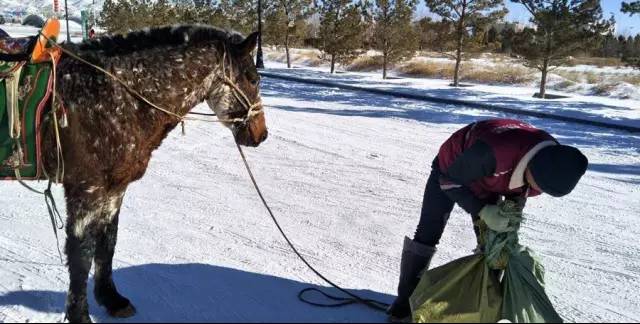 教你一招如何成为网红,一分钟教你怎么当网红