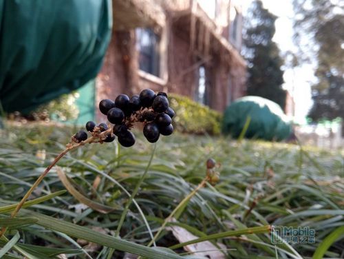 金立双摄s9怎么样,金立最新款测评