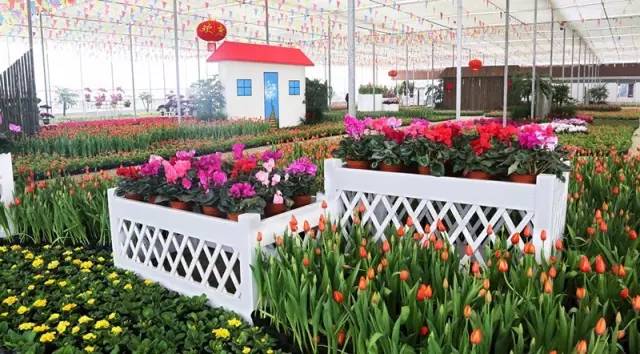 怡园花田官网,怡园花田特惠票