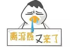 禽流感没有疫情的地区该如何防护,禽流感的主要应对措施