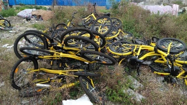 “小蓝车”闪现南宁青秀区！三色共享单车使用全攻略就在这里！