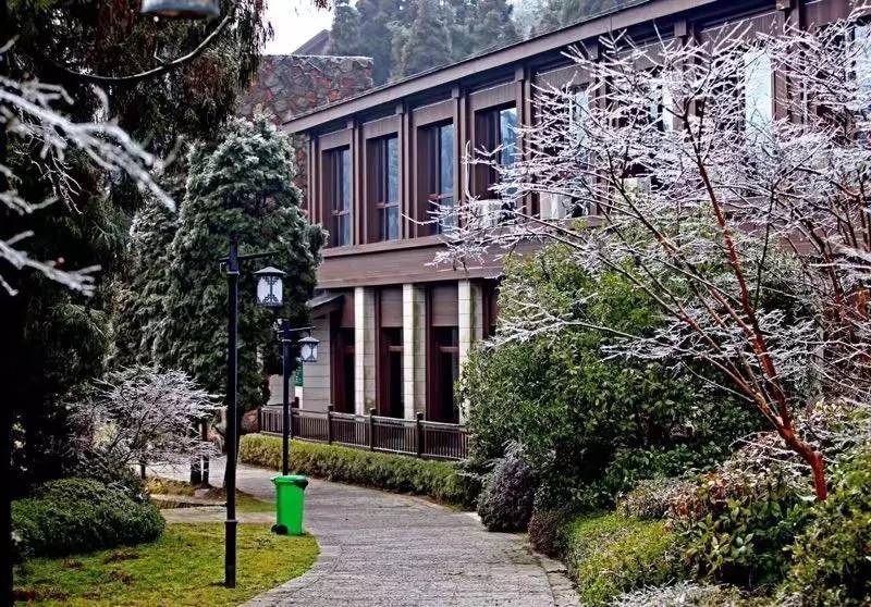 雪竟下得那么认真?居然感动了孟非踏雪来到江西,等不及了快上车