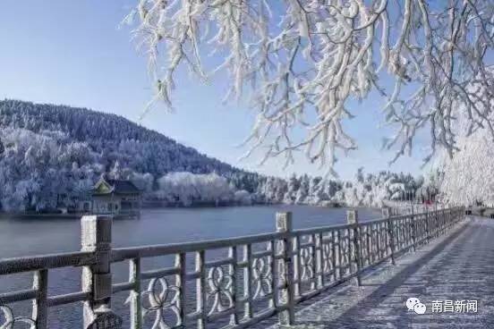 雪竟下得那么认真？居然感动了孟非踏雪来到江西，等不及了快上车