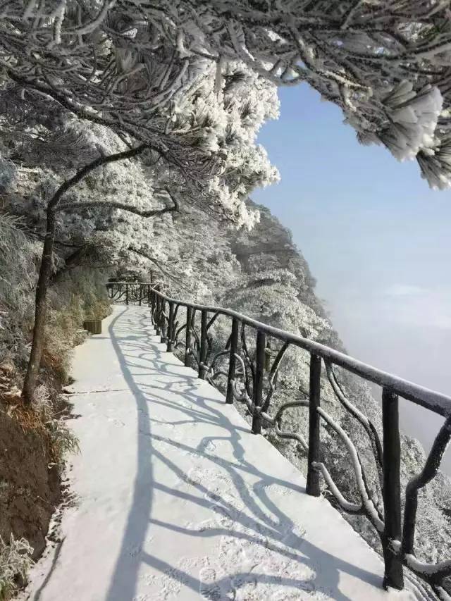 雪竟下得那么认真?居然感动了孟非踏雪来到江西,等不及了快上车