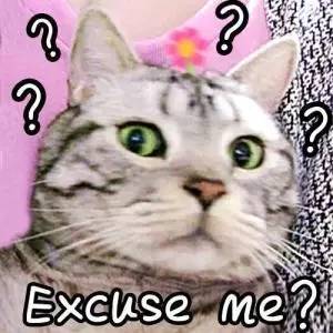 德国原装进口的产品,德国护肝最好的产品