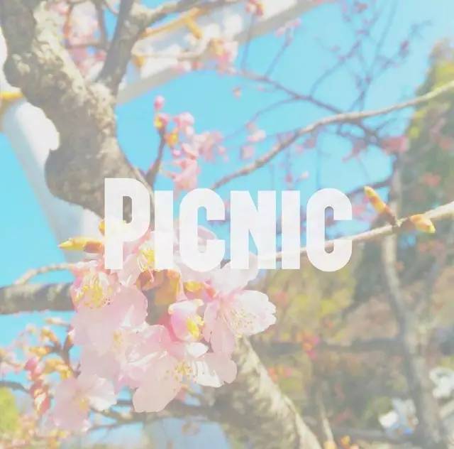 周末浪里个浪｜100元春游基金+15家民宿限量房券6折起送你去春游