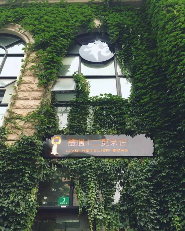 周末浪里个浪｜100元春游基金+15家民宿限量房券6折起送你去春游