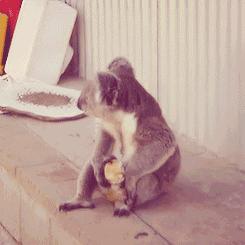 冲壳子丨自从买了这件衣服,去哪吃饭都不要钱!你值得拥有!