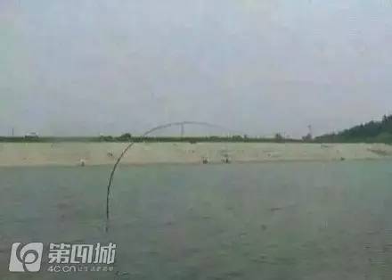 冲壳子丨自从买了这件衣服,去哪吃饭都不要钱!你值得拥有!