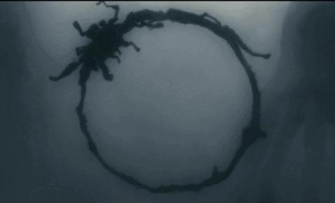 这部让人敬畏的神片,硬盘里该有