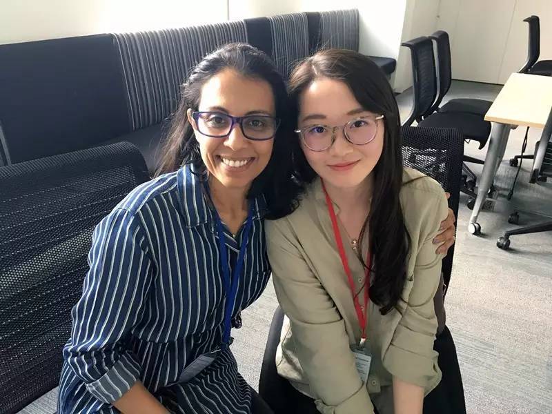 ib课程中国,ib课程的六大课程