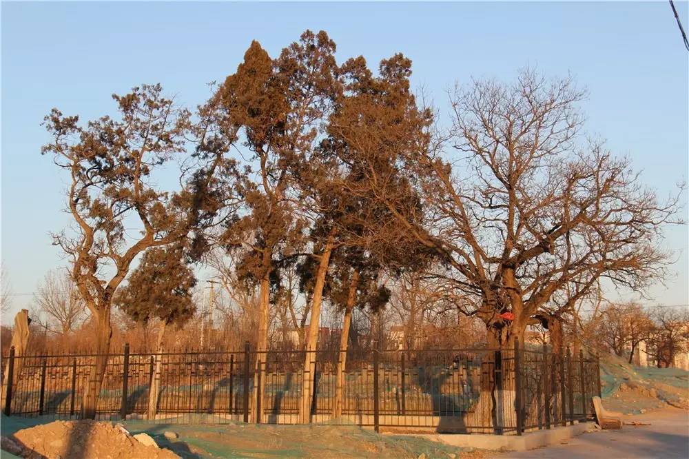 昌平南邵名字的由来,昌平南邵镇简介