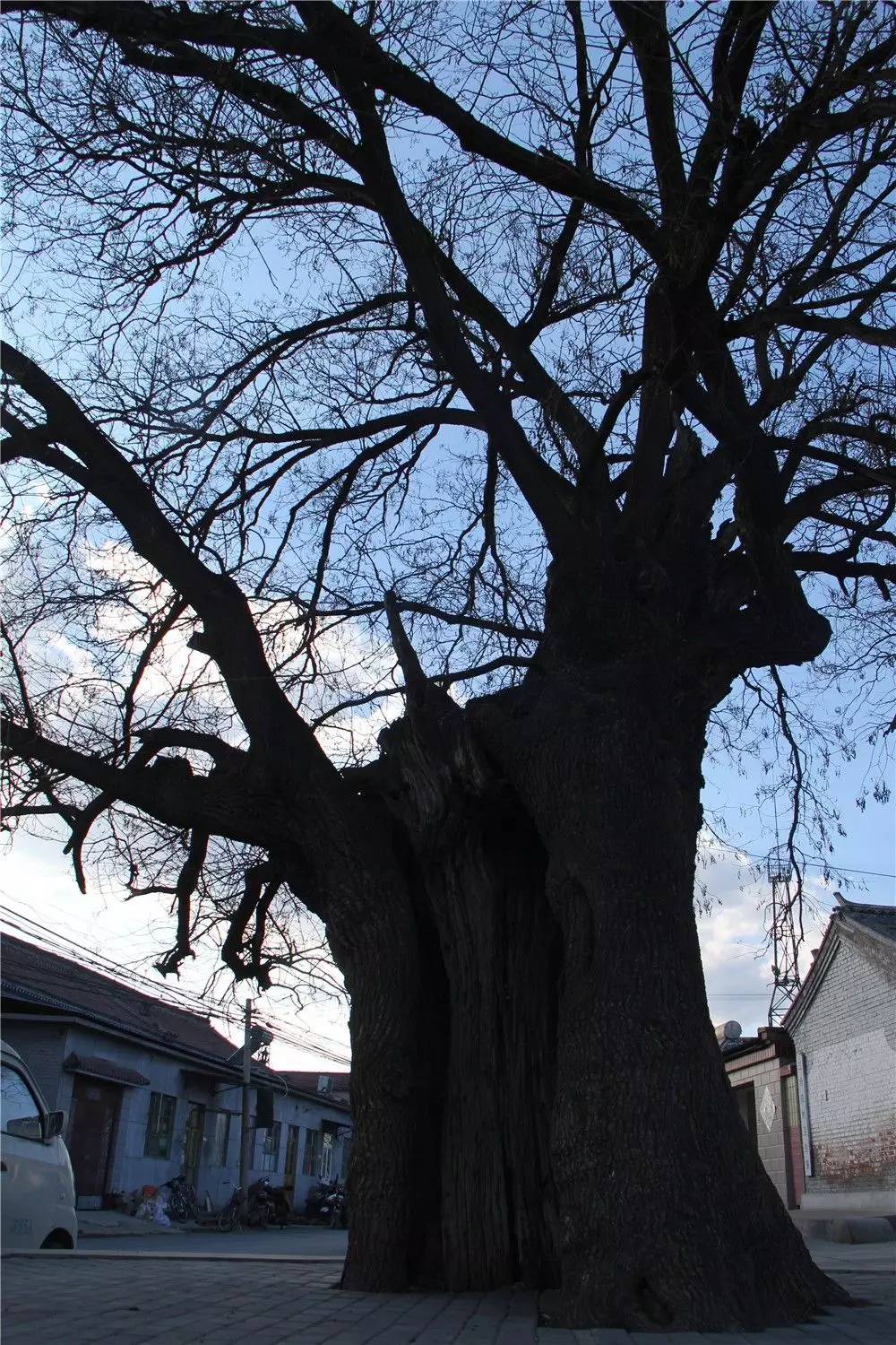 昌平南邵名字的由来,昌平南邵镇简介