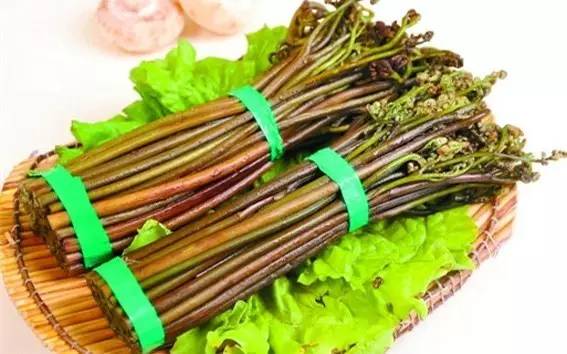 别错过五种常见野菜好吃又营养,春天有什么野菜有药用价值