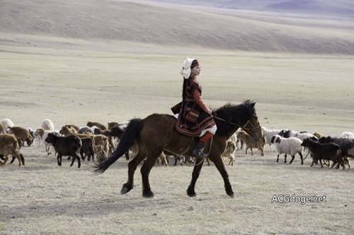 专访为《姊嫁物语》花费6年时间制作服装多次远赴蒙古的日本COSER