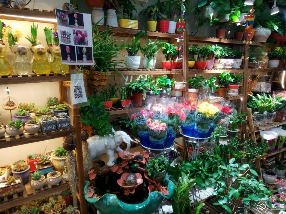 千元内快充手机,千元以下的快充手机