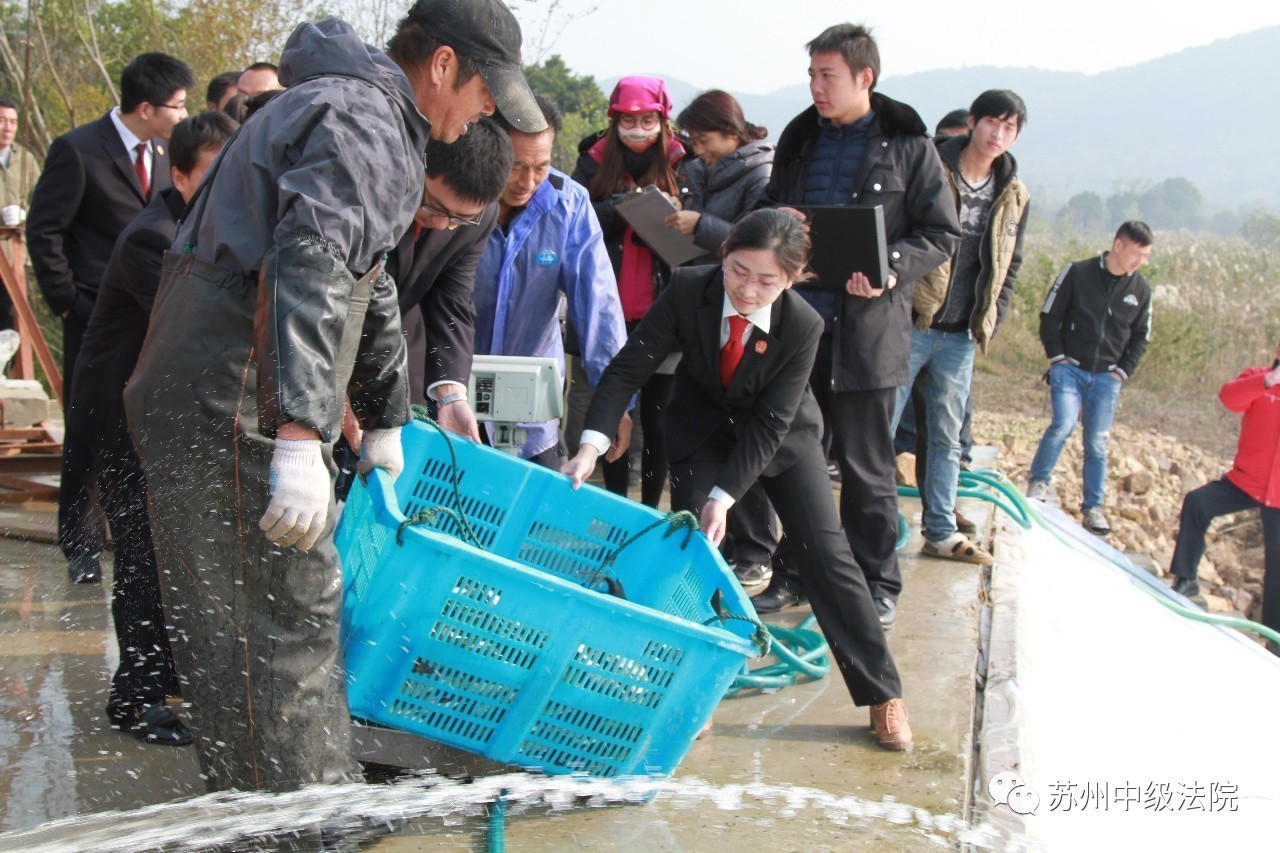 环境资源法庭苏州,苏州环境资源法庭