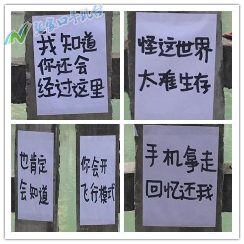 张家口新闻播报视频,张家口手机台新闻联播