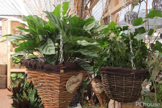 甲醛危害大教你如何快速清除甲醛,甲醛多少算超标甲醛应该怎么清除