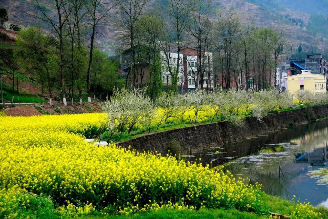 你，为什么离不开石柱！