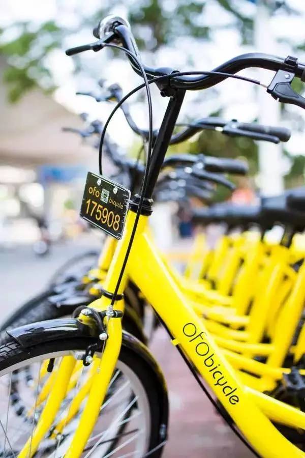 “小蓝车”闪现南宁青秀区！三色共享单车使用全攻略就在这里！